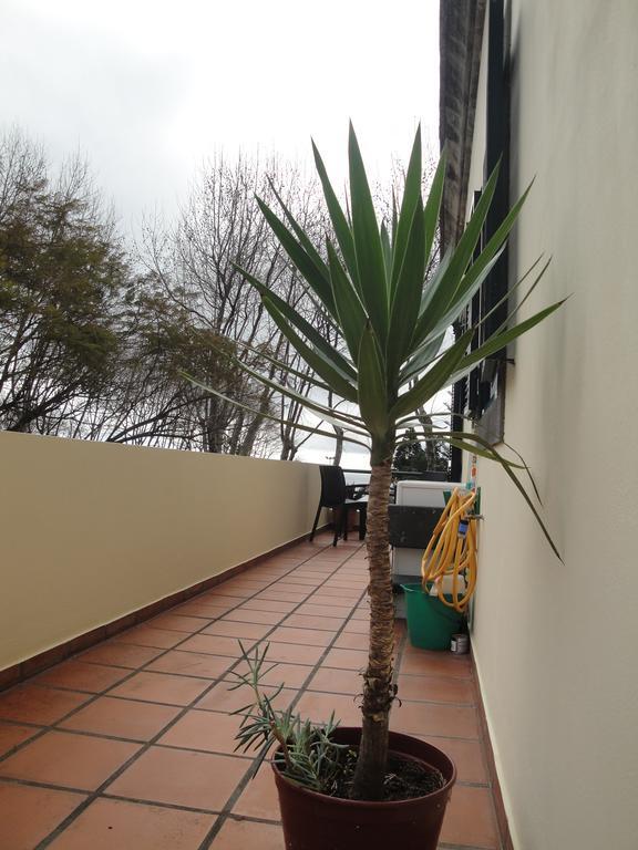 Apartment Alameda With Sea View Machico  Bagian luar foto